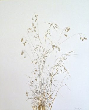 Winter Grasses (2016) by Susan R. Ball